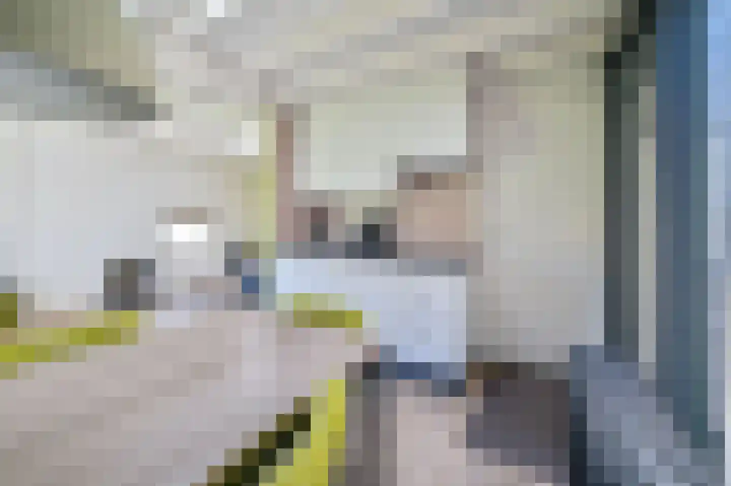 Vennenbos 114 Hapert thumbnail 9