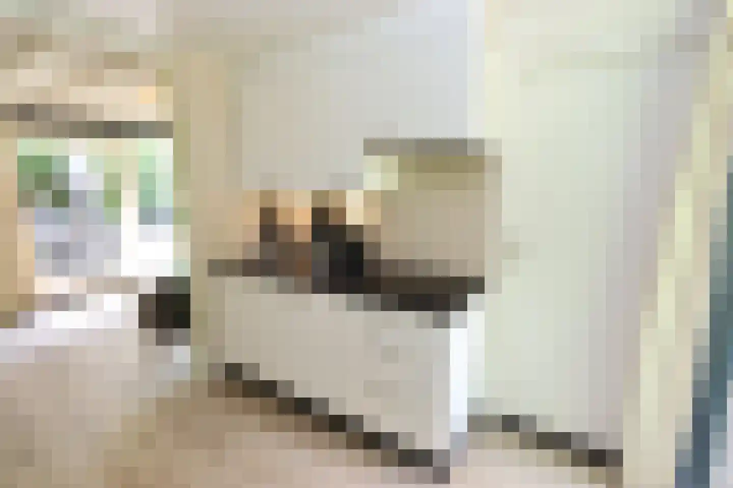 Vennenbos 124 Hapert thumbnail 10