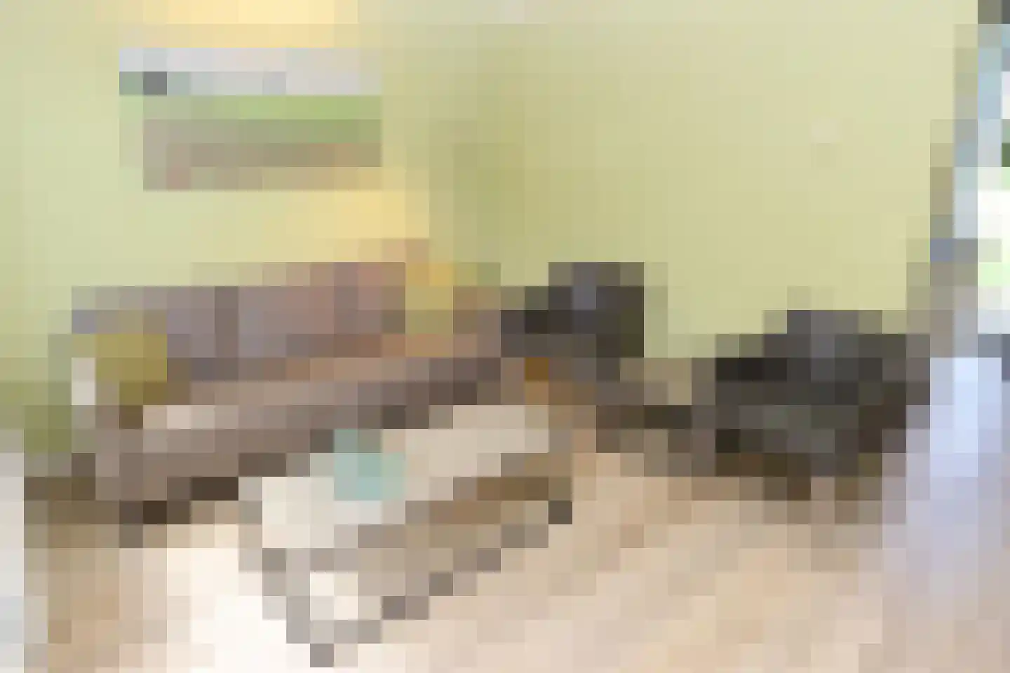Vennenbos 124 Hapert thumbnail 6