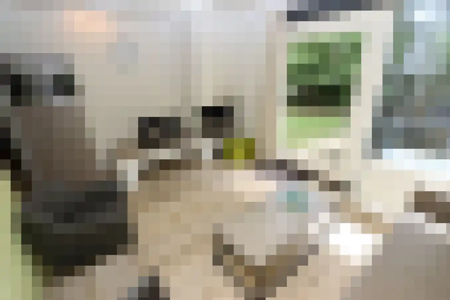Vennenbos 124 Hapert thumbnail 7