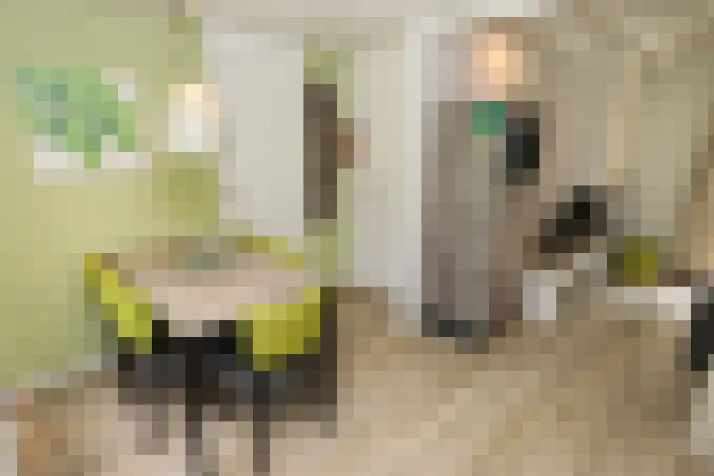 Vennenbos 124 Hapert thumbnail 8