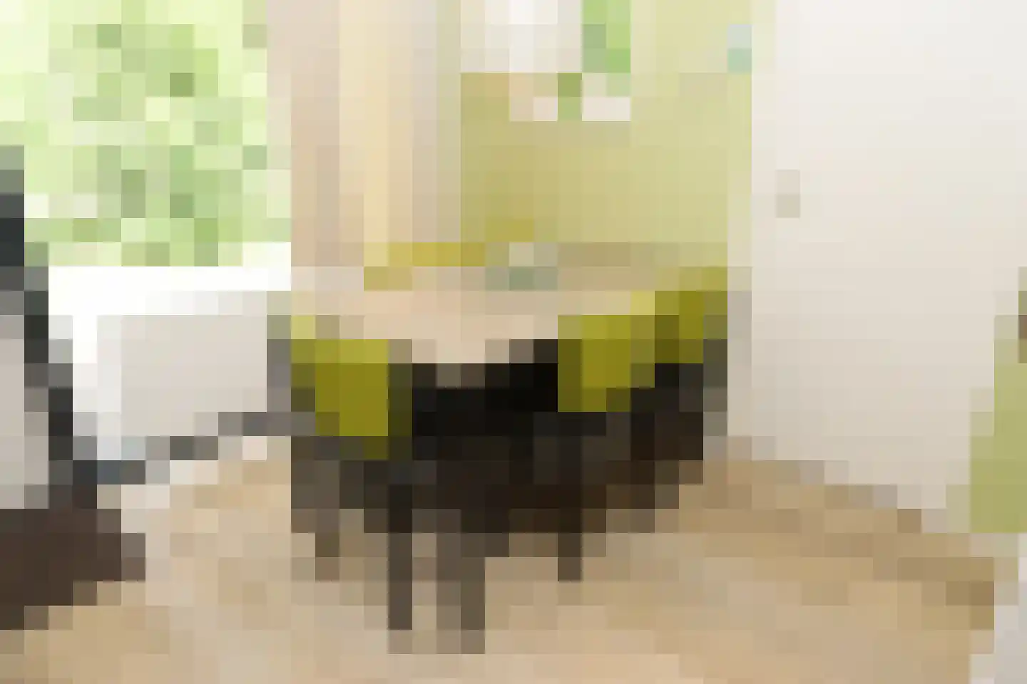 Vennenbos 124 Hapert thumbnail 9