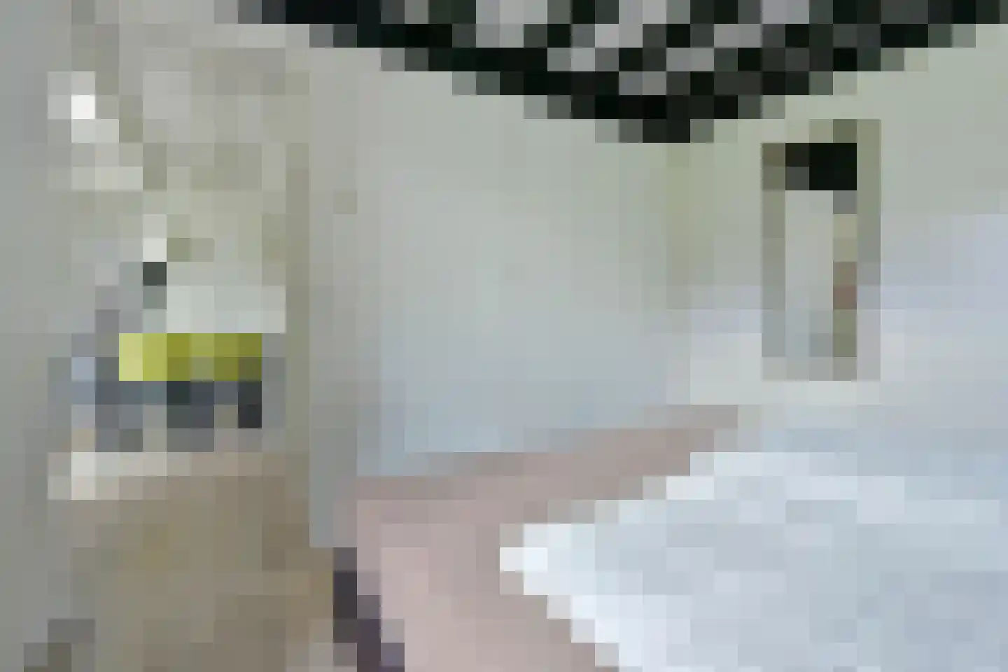Vennenbos 129 Hapert thumbnail 14