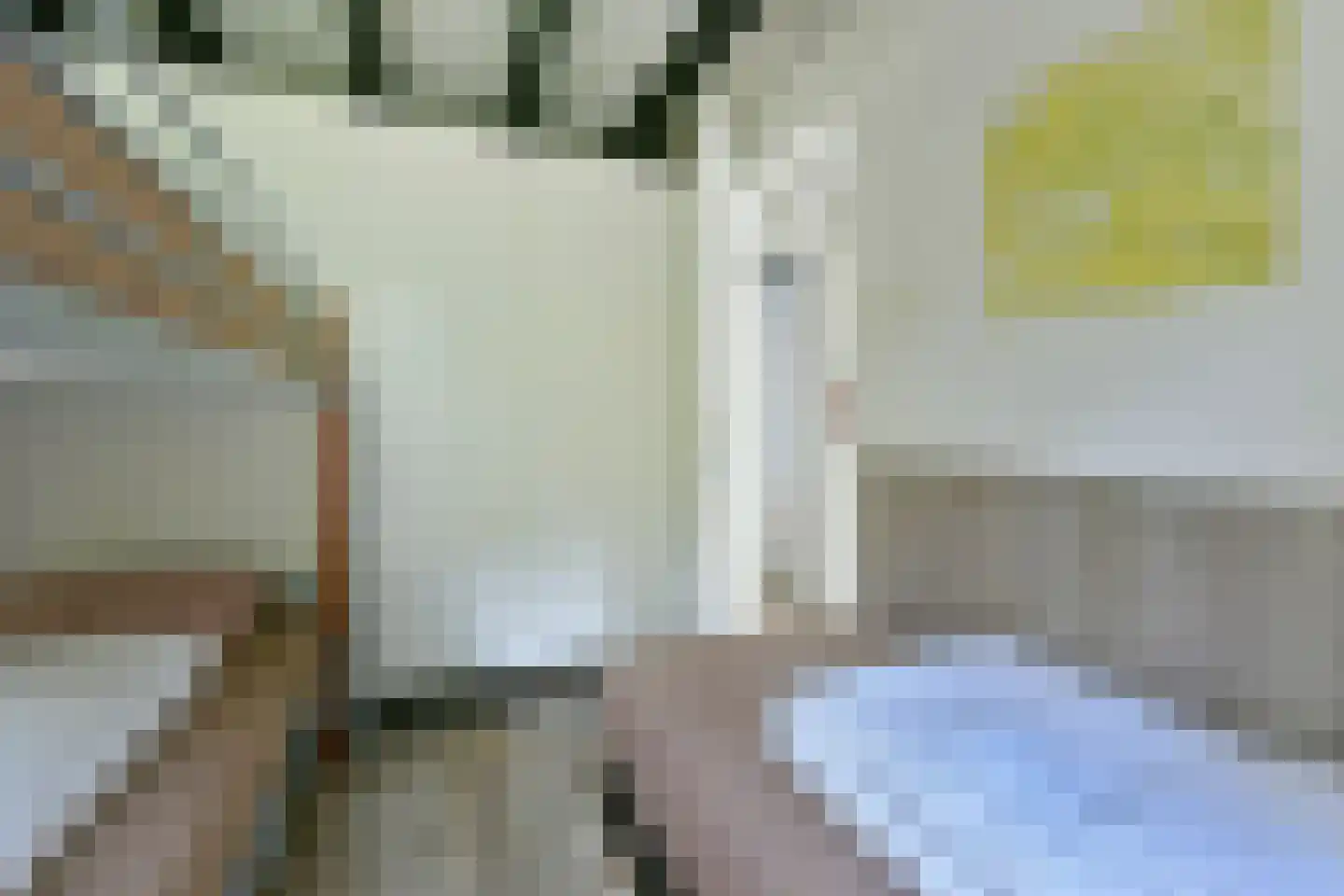 Vennenbos 129 Hapert thumbnail 16