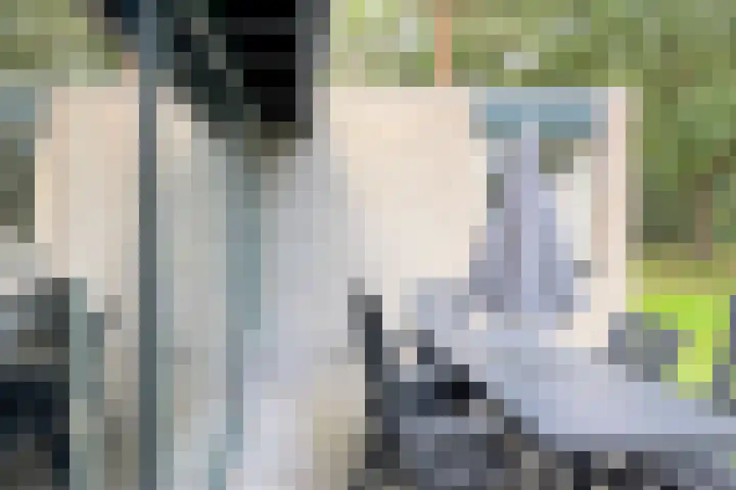 Vennenbos 129 Hapert thumbnail 20