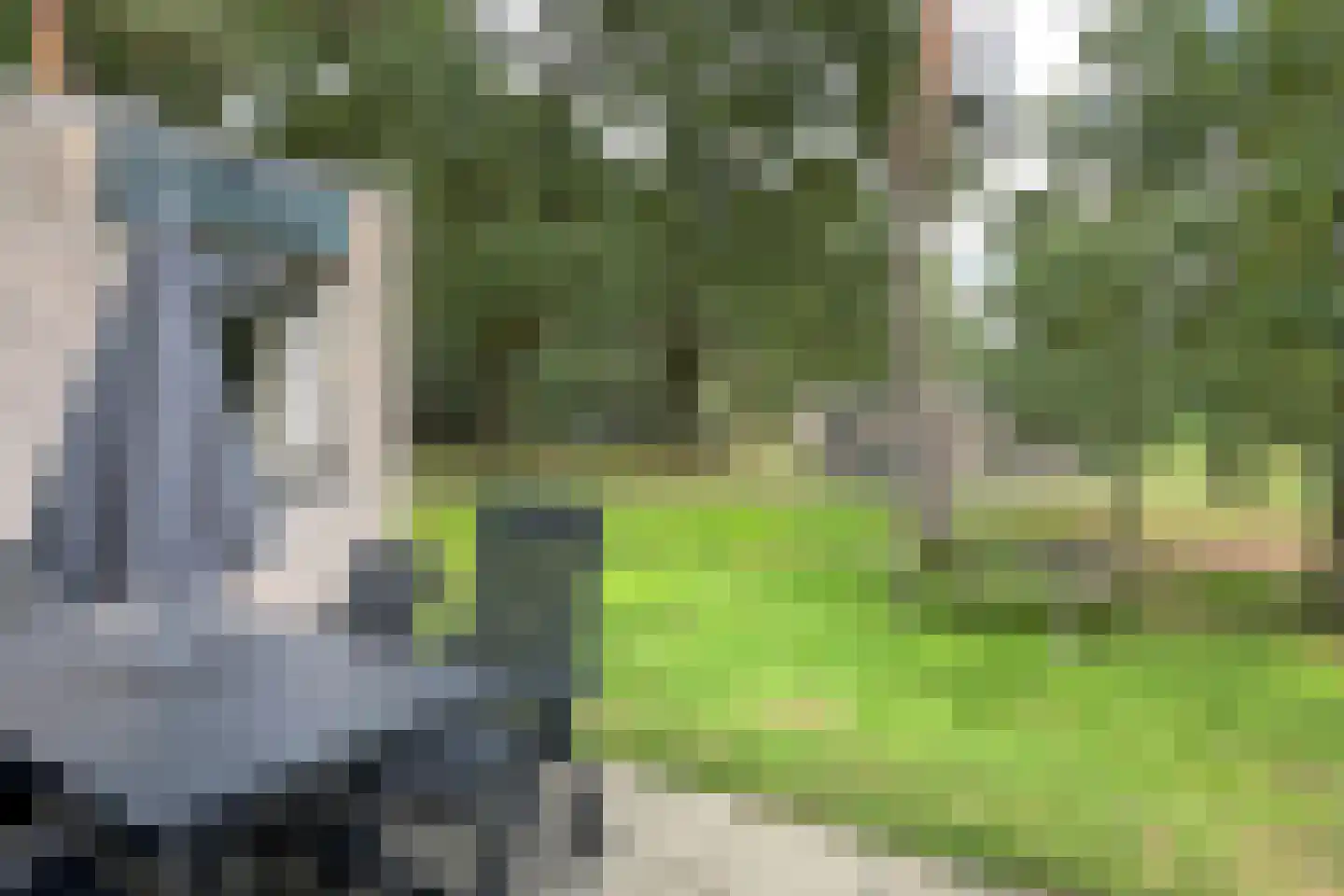 Vennenbos 129 Hapert thumbnail 21