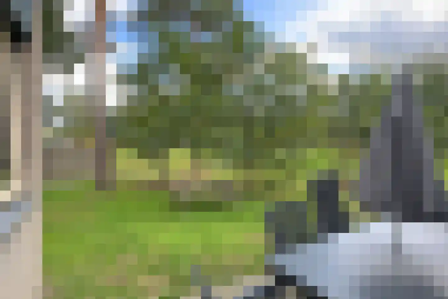 Vennenbos 129 Hapert thumbnail 22