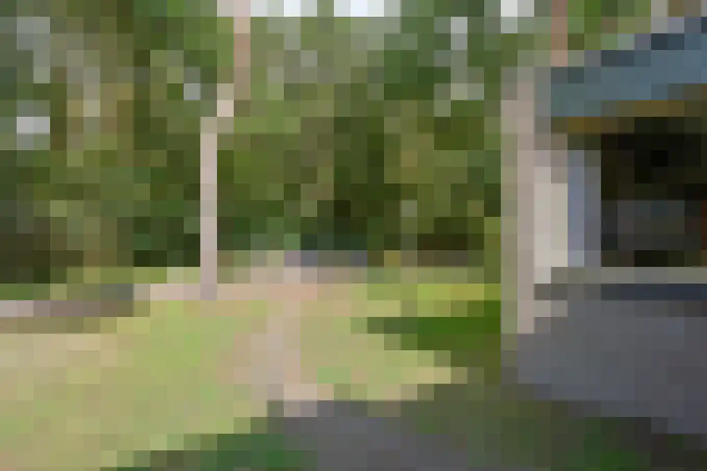 Vennenbos 129 Hapert thumbnail 23