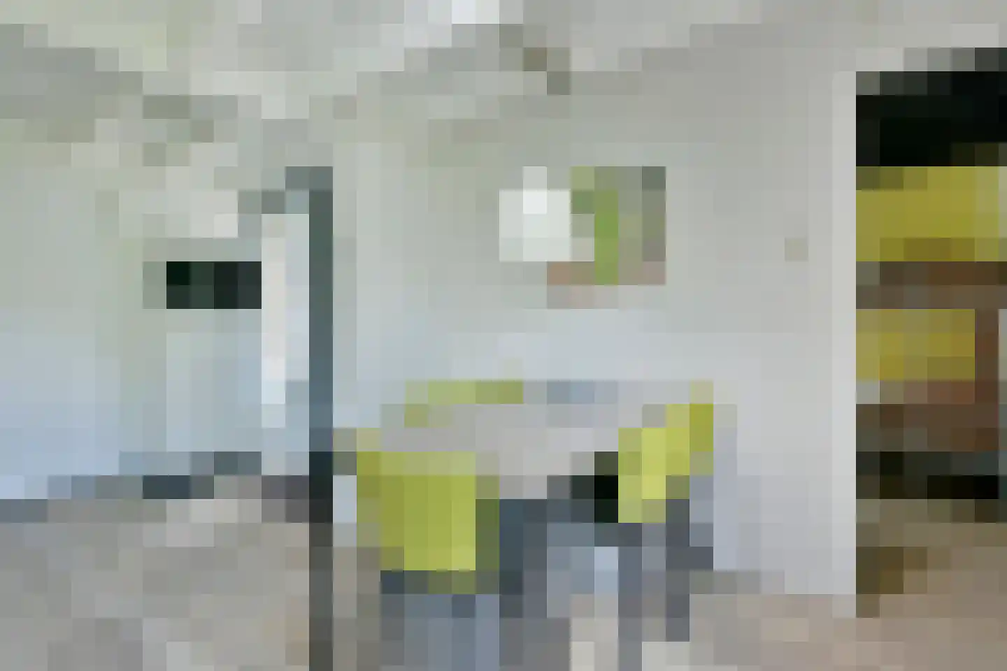 Vennenbos 129 Hapert thumbnail 7