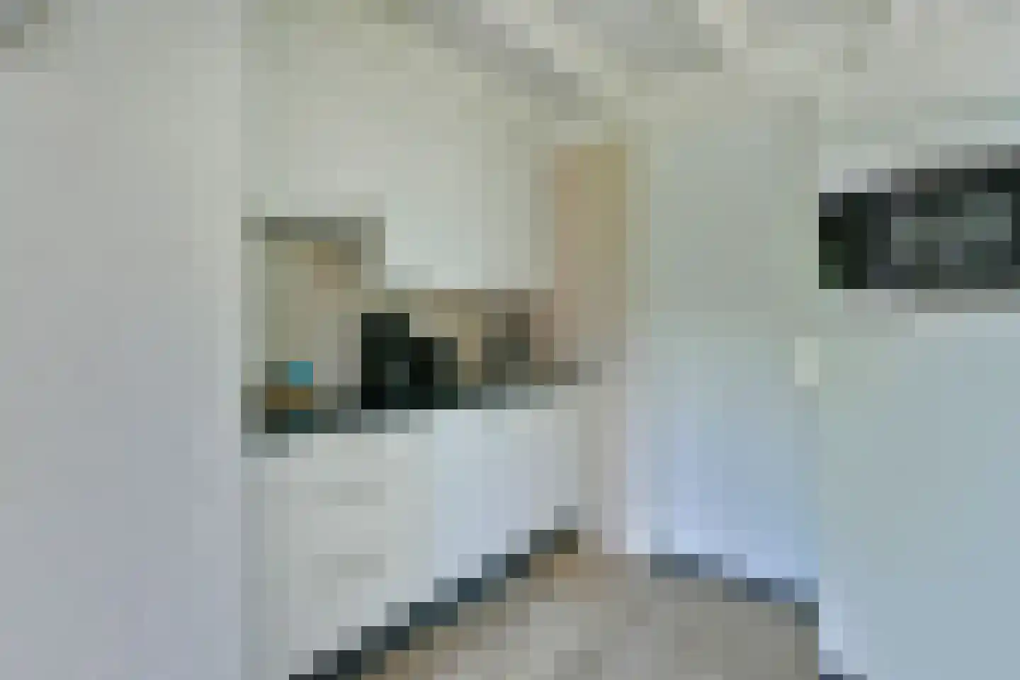 Vennenbos 129 Hapert thumbnail 9