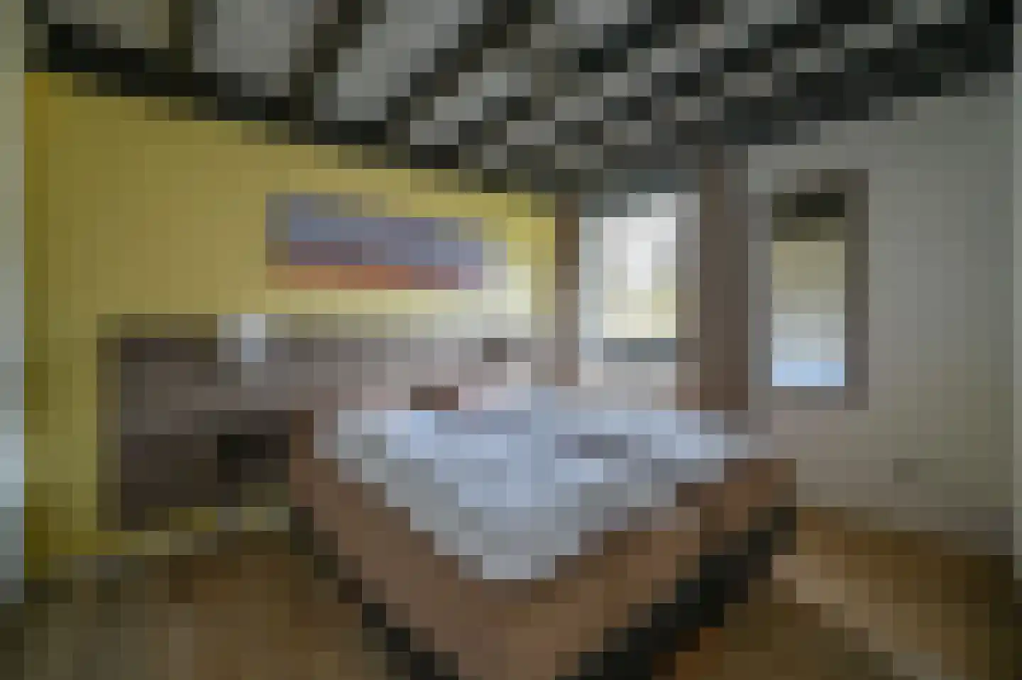 Vennenbos 144 Hapert thumbnail 10