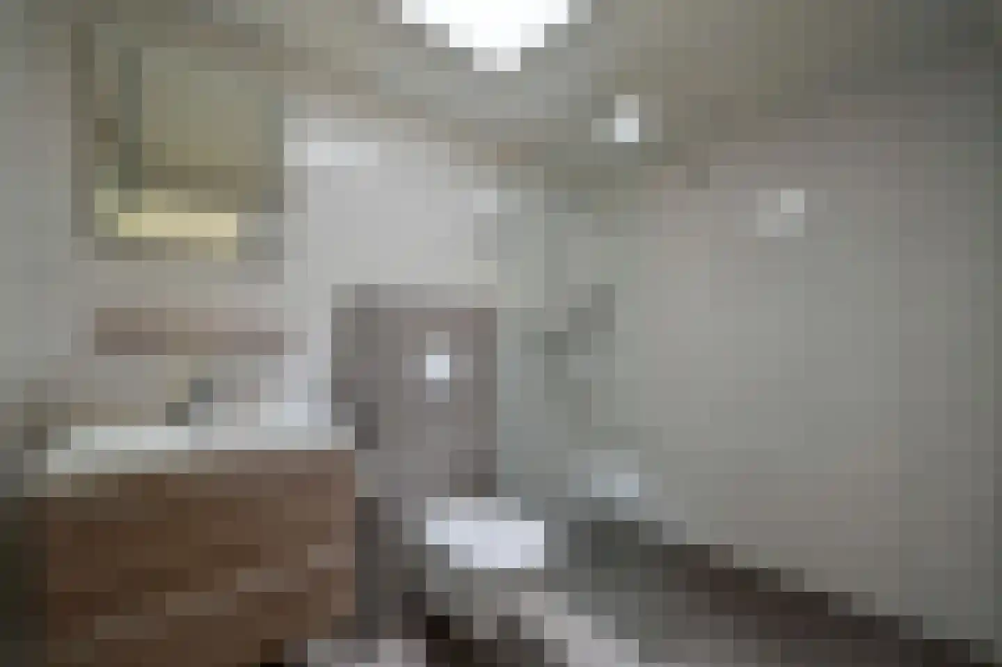 Vennenbos 144 Hapert thumbnail 12