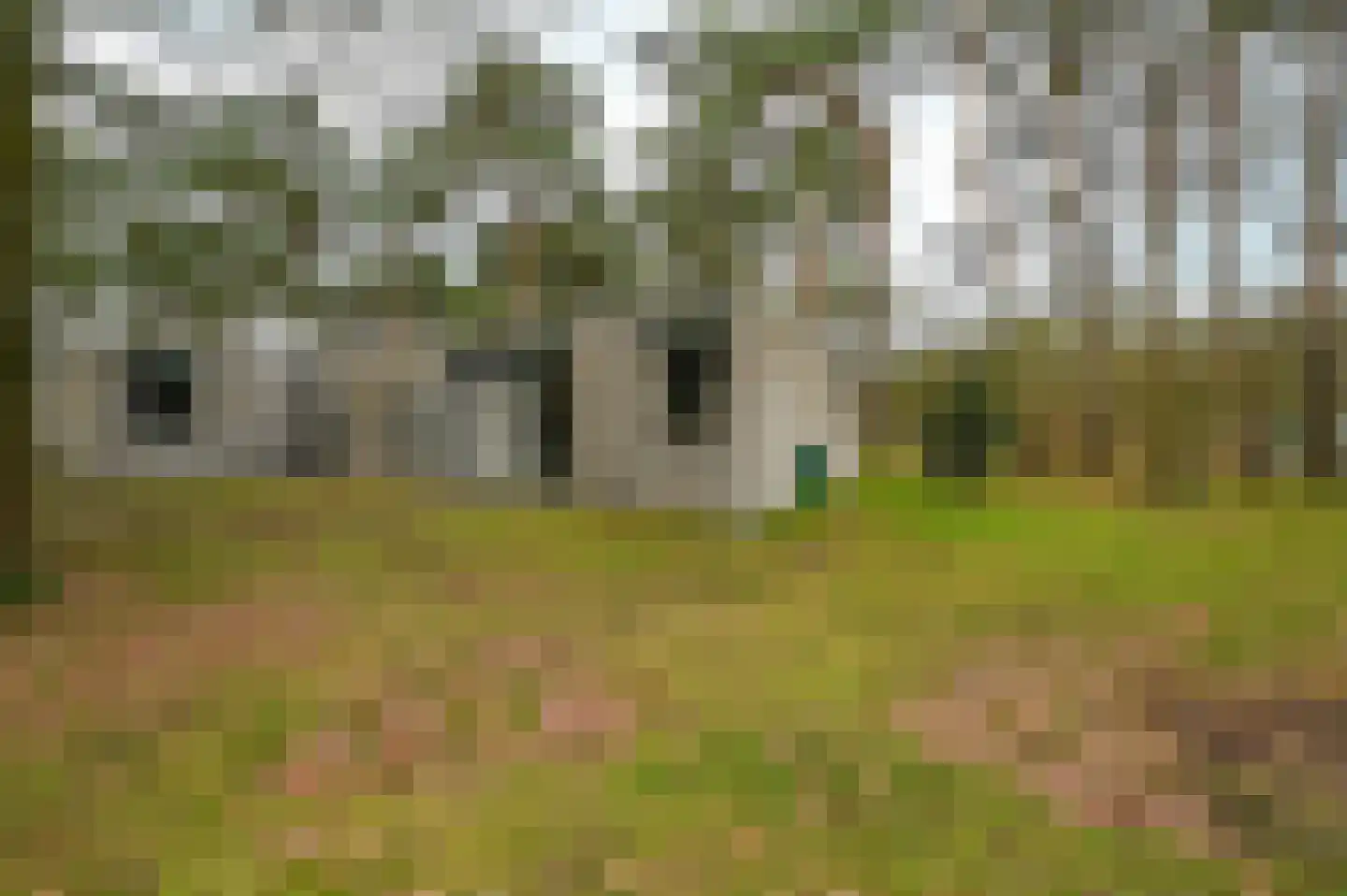 Vennenbos 144 Hapert thumbnail 14