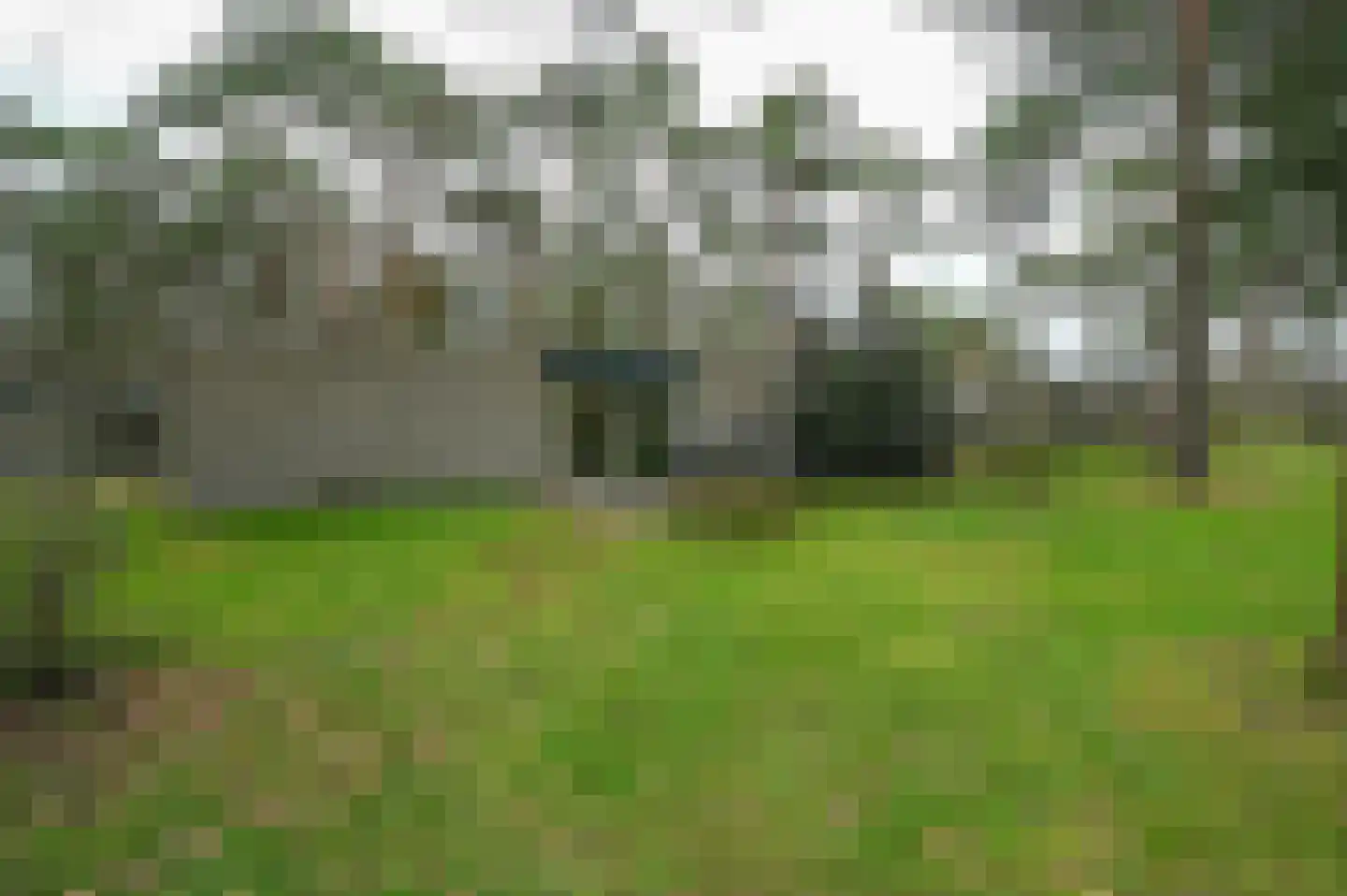 Vennenbos 144 Hapert thumbnail 15