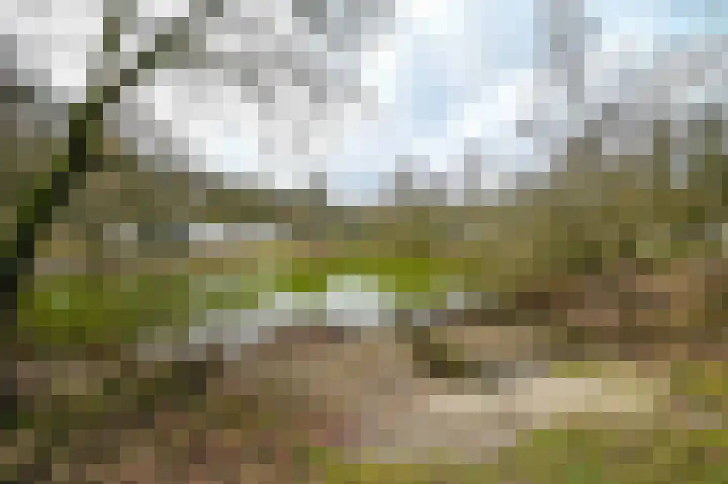 Vennenbos 144 Hapert thumbnail 16