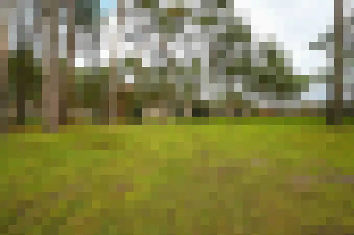 Vennenbos 144 Hapert thumbnail 17