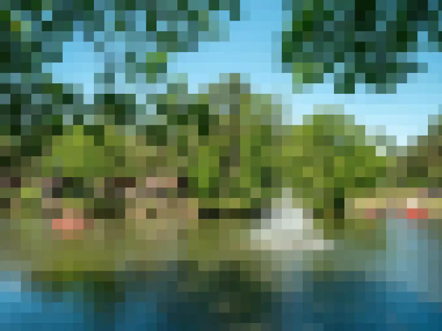 Vennenbos 144 Hapert thumbnail 25