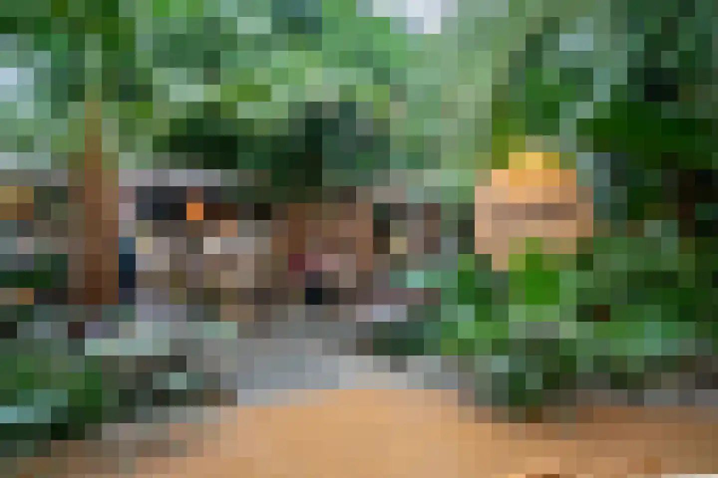 Vennenbos 144 Hapert thumbnail 26