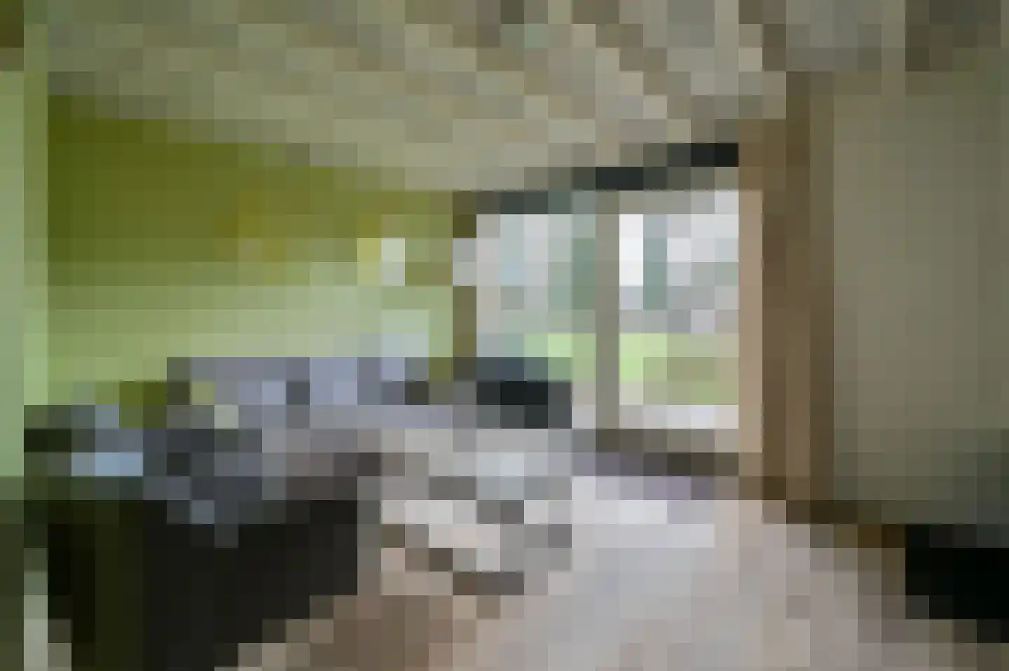 Vennenbos 144 Hapert thumbnail 4