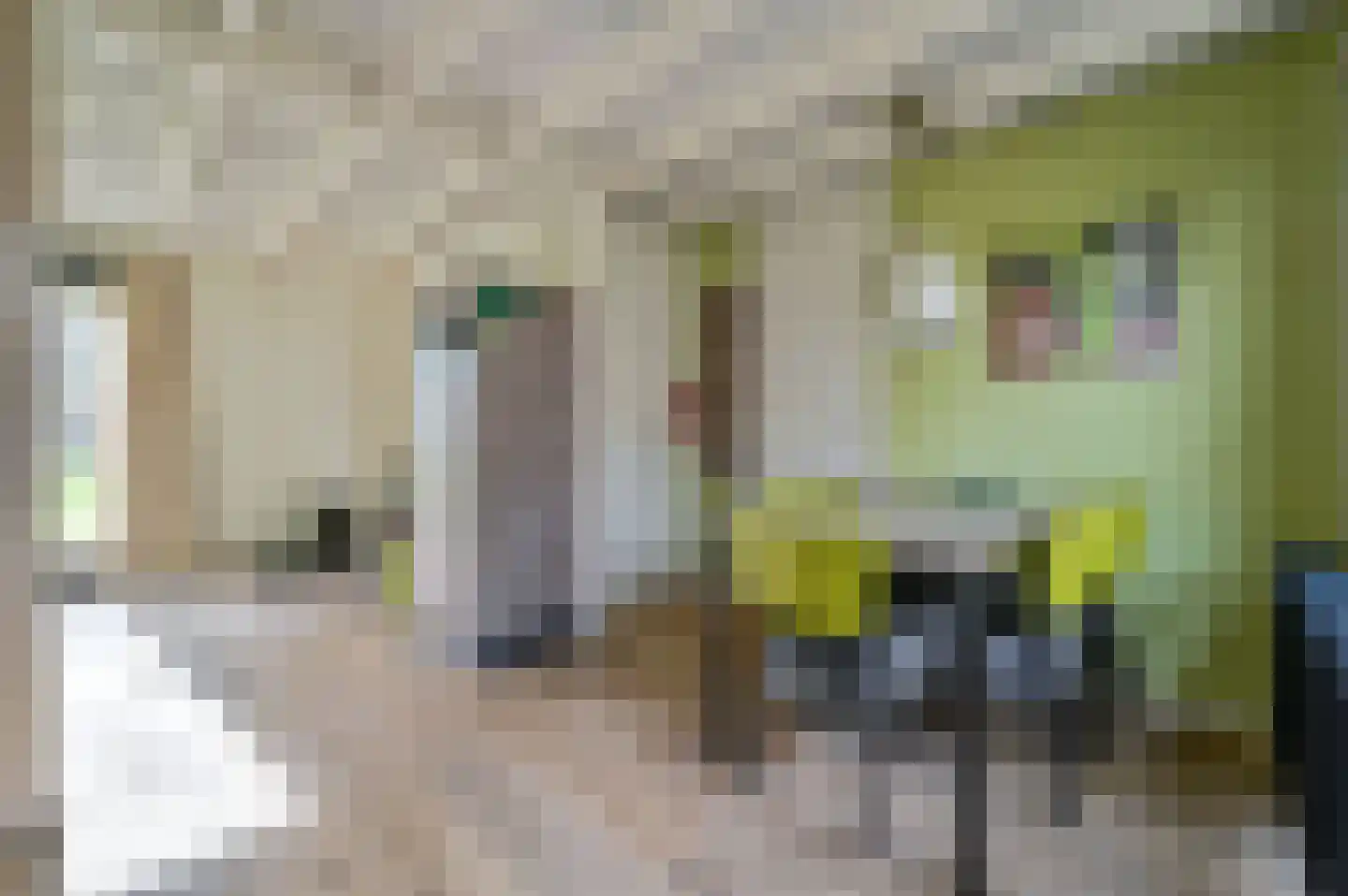 Vennenbos 144 Hapert thumbnail 5