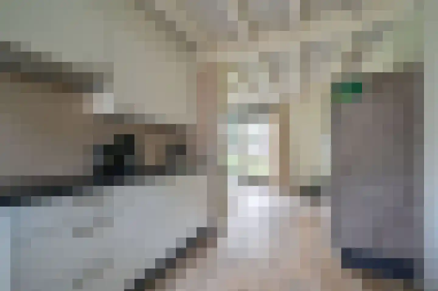 Vennenbos 144 Hapert thumbnail 7