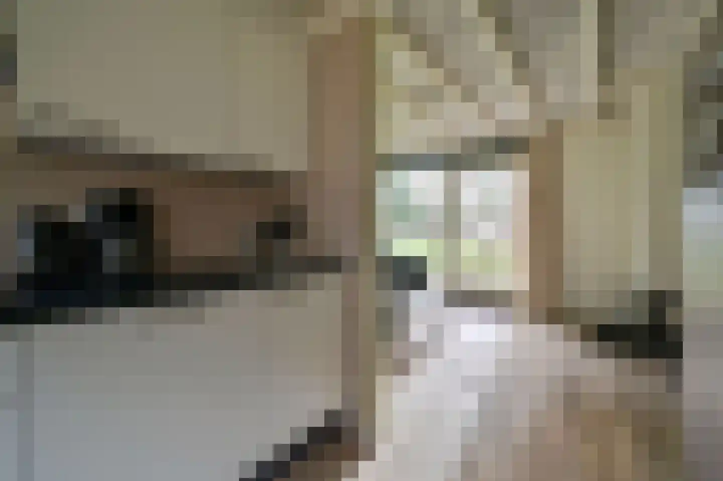 Vennenbos 144 Hapert thumbnail 9