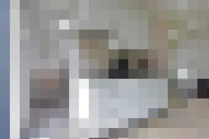 Vennenbos 158 Hapert thumbnail 10