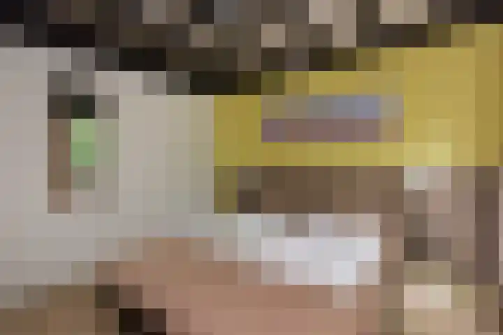 Vennenbos 158 Hapert thumbnail 13