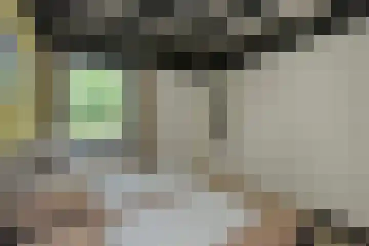 Vennenbos 158 Hapert thumbnail 14