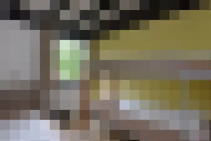Vennenbos 158 Hapert thumbnail 16