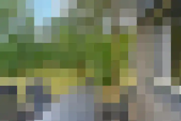Vennenbos 158 Hapert thumbnail 18
