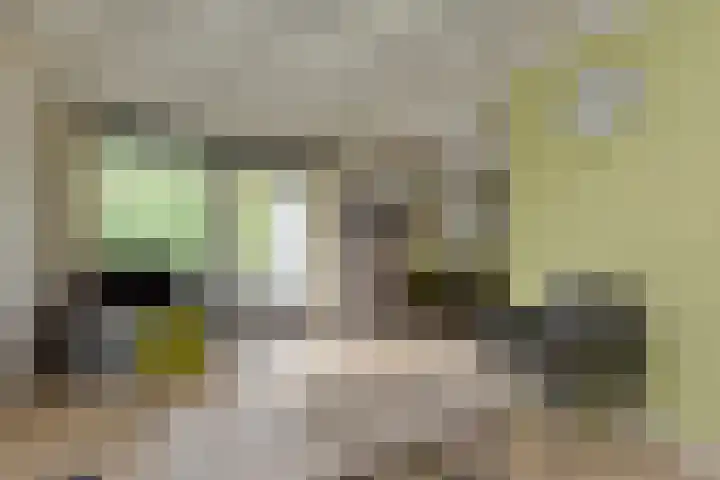 Vennenbos 158 Hapert thumbnail 6