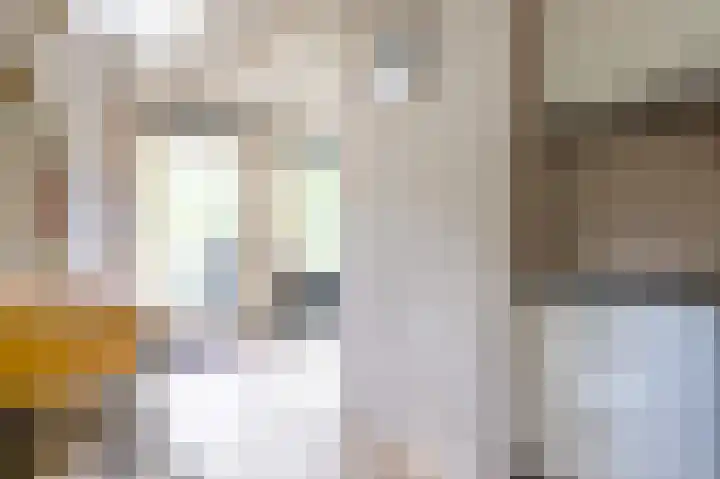 Vennenbos 229 Hapert thumbnail 10