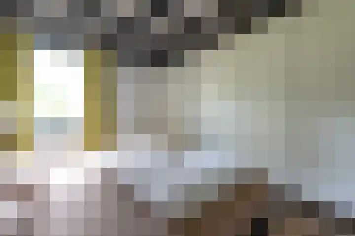 Vennenbos 229 Hapert thumbnail 13