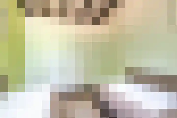 Vennenbos 229 Hapert thumbnail 18