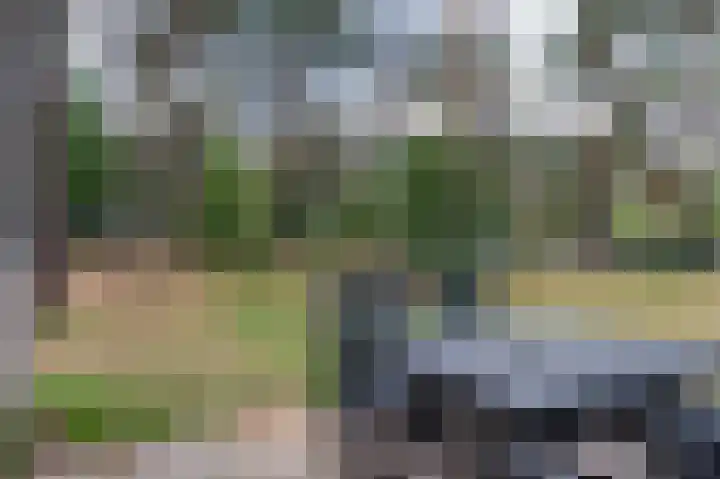 Vennenbos 229 Hapert thumbnail 19