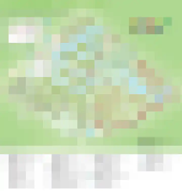 Vennenbos 229 Hapert thumbnail 22
