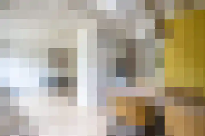 Vennenbos 229 Hapert thumbnail 4