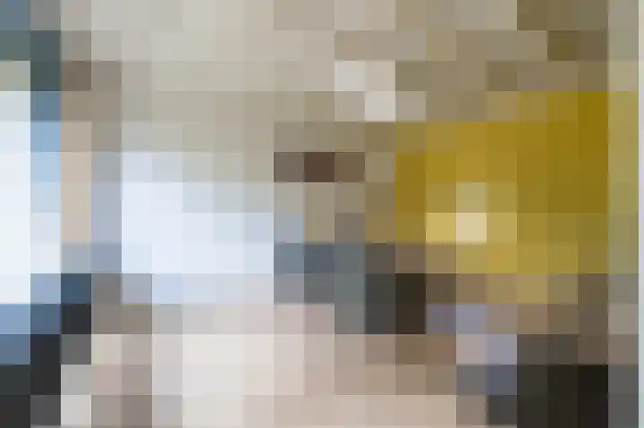 Vennenbos 229 Hapert thumbnail 5