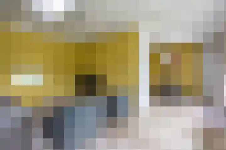 Vennenbos 229 Hapert thumbnail 6