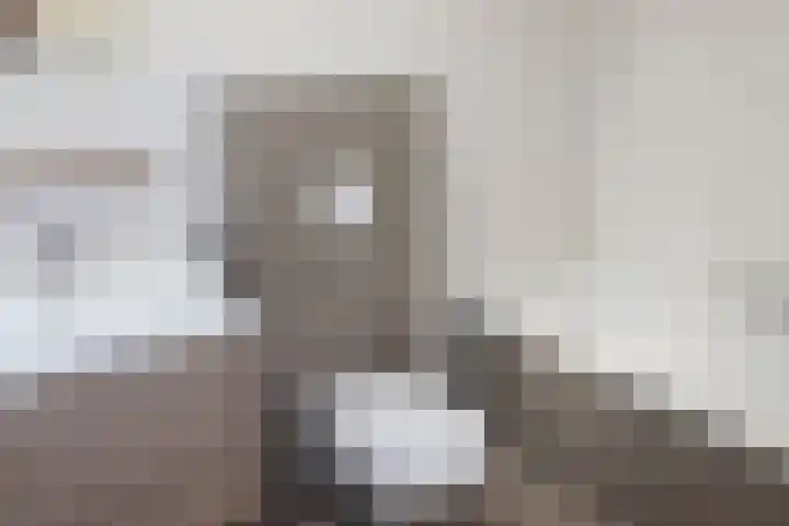 Vennenbos 286 Hapert thumbnail 10