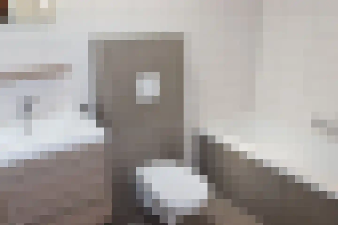 Vennenbos 286 Hapert thumbnail 10