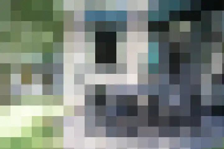 Vennenbos 286 Hapert foto 2