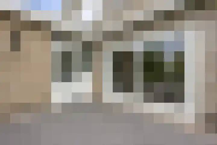 Vennenbos 286 Hapert thumbnail 4