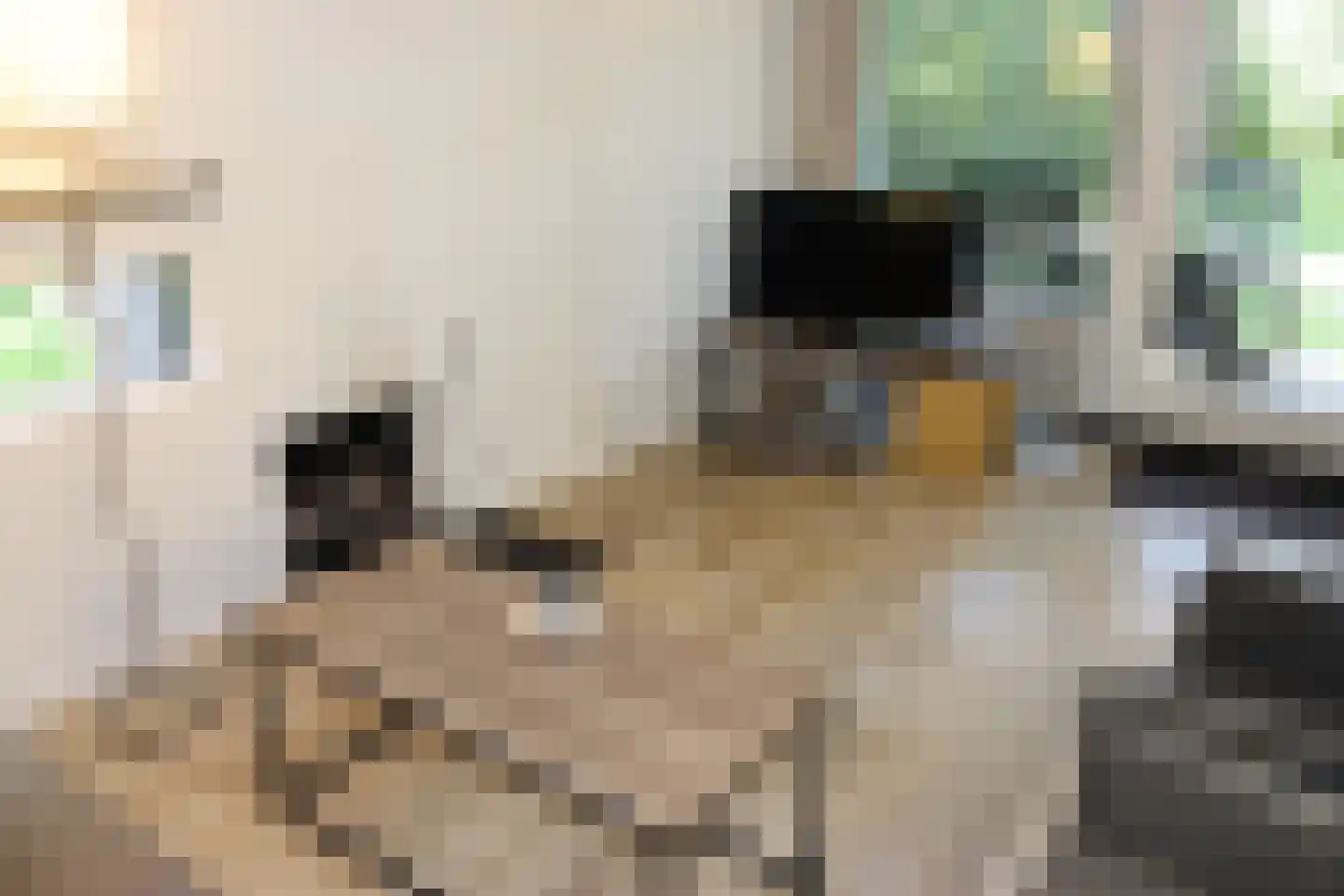 Vennenbos 286 Hapert thumbnail 4