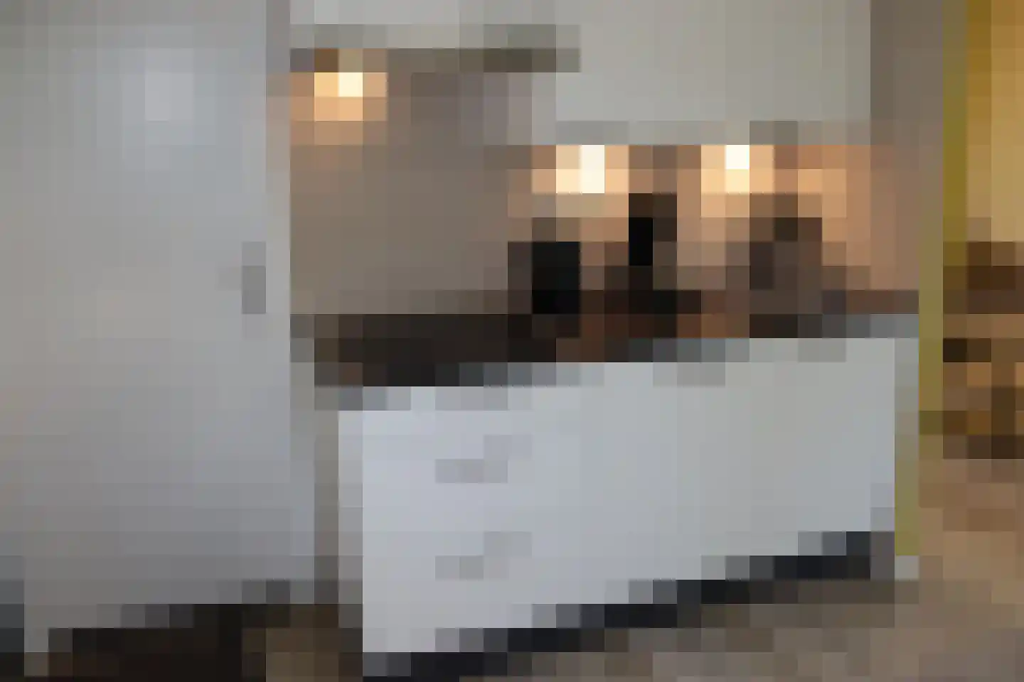 Vennenbos 286 Hapert thumbnail 5