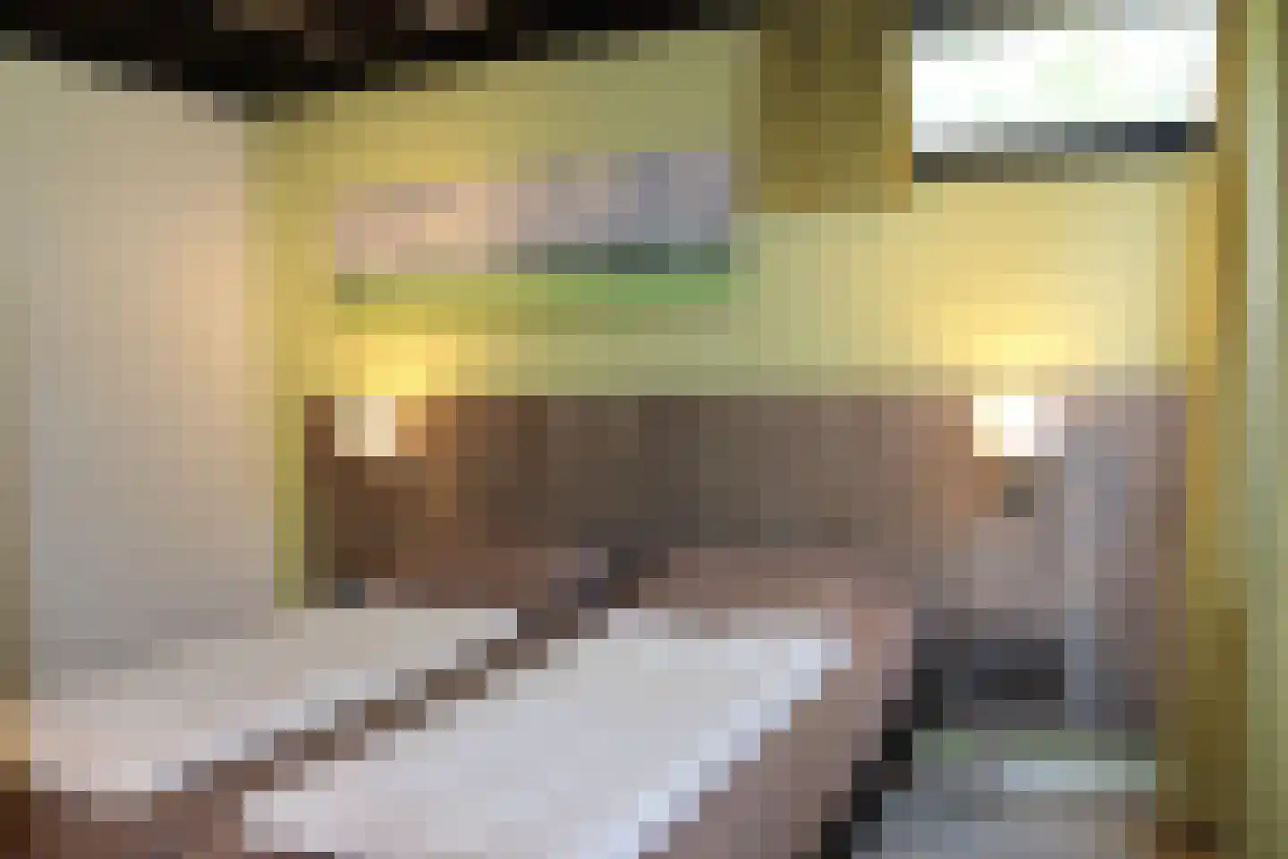 Vennenbos 286 Hapert thumbnail 7