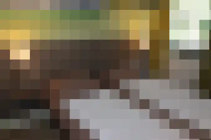 Vennenbos 286 Hapert thumbnail 8