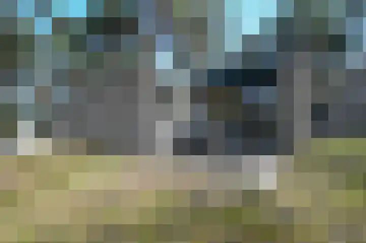 Vennenbos 308 Hapert