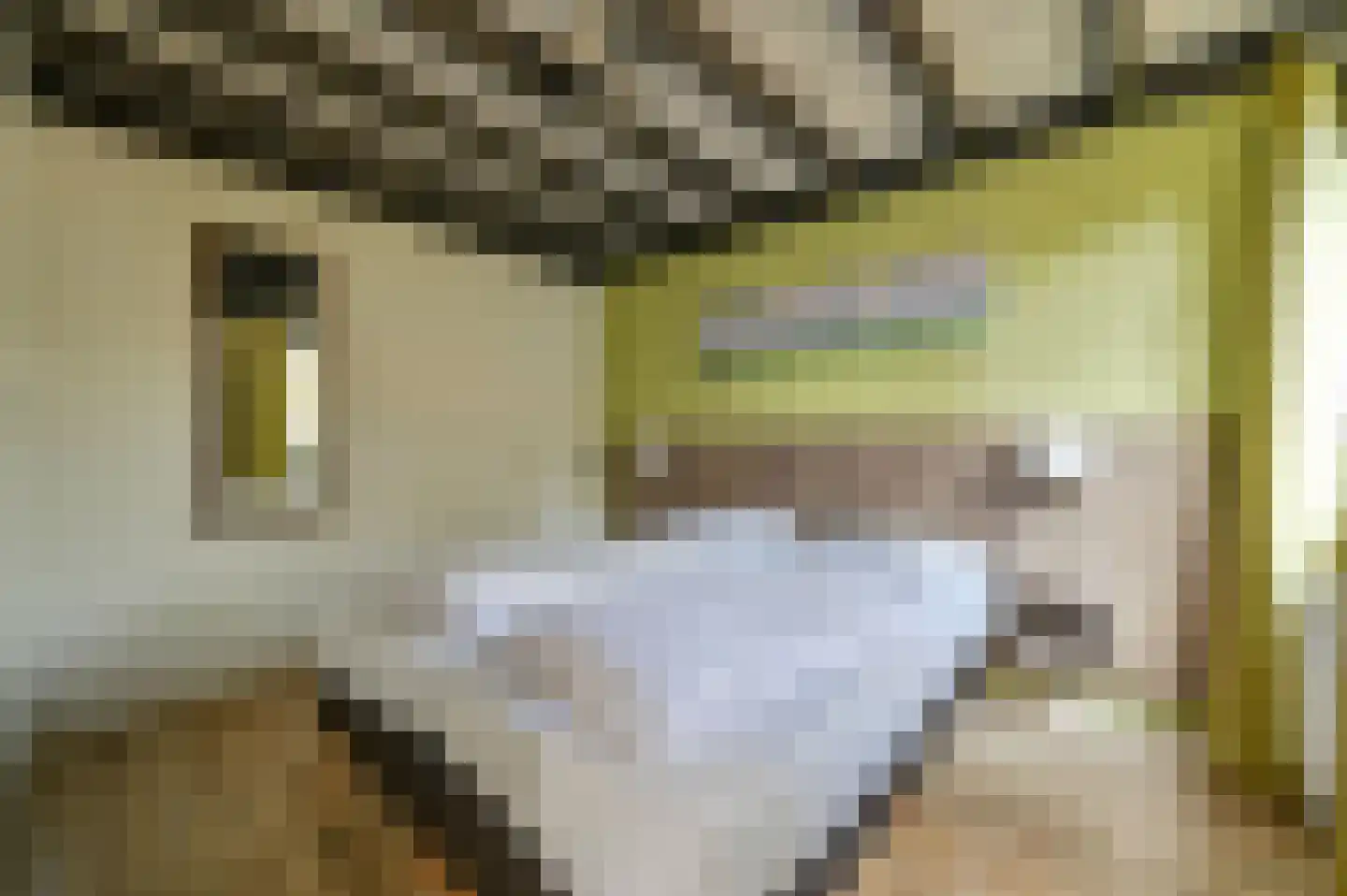 Vennenbos 308 Hapert thumbnail 10